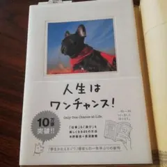 人生はワンチャンス! 「仕事」も「遊び」も楽しくなる65の方法
