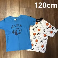 半袖Tシャツ　120cm 2枚セット