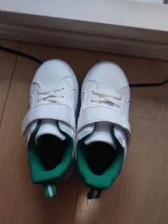 Item thumbnail for item 27379c26-e60a-41e6-aa30-3d711f154a89