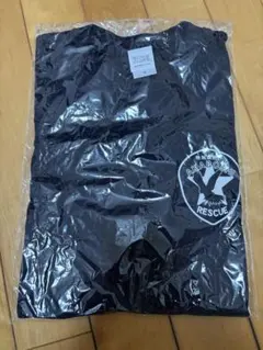 ⭐︎新品未開封品⭐︎モエカレはオレンジ色　Tシャツ