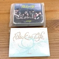 &TEAM Back to life ティンケース & mini CD