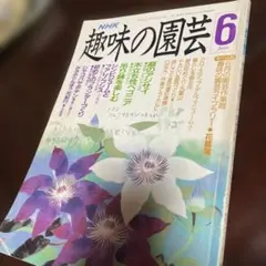 Item thumbnail for item e7694918-e9fe-4cee-bc95-2175de92b7c5