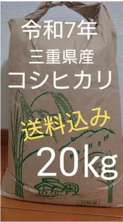 令和8年用（令和7年産）　種もみ　コシヒカリ20kg　（温湯消毒、催芽済み） 令和8年用（令和7年産） 種もみ コシヒカリ20kg （温湯消毒、催芽済み