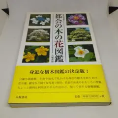 蜂からみた花の世界 : 四季の蜜源植物とミツバチからの贈り物 - メルカリ