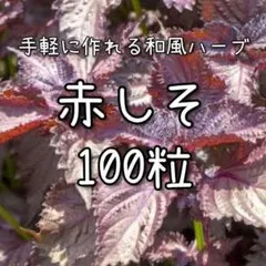 隣のイモコ様 リクエスト 3点 まとめ商品