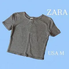 ZARA USA M チビT ボーダー