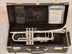 75万番代 BACH 180ML37SPのサムネイル