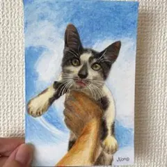 猫 色鉛筆画 原画 ポストカードサイズ