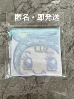 即発送!! ブルーベリエちゃん メゾピアノ