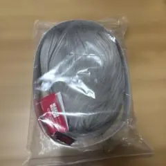 Item thumbnail for item 7f980091-8655-4ce4-8fa7-1d1313f7bef4