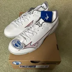 Item thumbnail for item d7f6bbe1-1f44-42d6-9a3e-dee94678c804