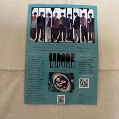I.ADORE チラシ　ガルアワ