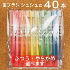 歯ブラシ ４０本 セット ふつう シュシュ shushu α 歯科専用
