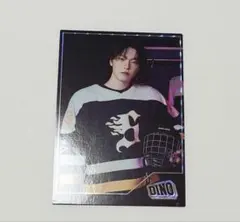 SEVENTEEN　HOME　トレカ　ディノ