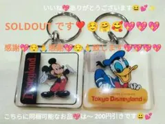 東京ディズニーランド アクリルキーホルダーセット