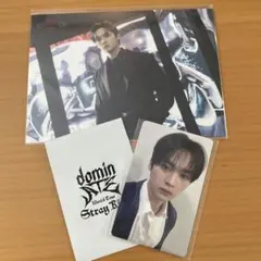 Stray Kids domin ATE ラントレ&特典トレカ　リノ