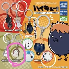 ハイキュー!! つながリングチャーム アカアシフクロウ