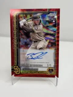 Item thumbnail for item 8e213334-b62b-48fd-bca5-70efadf15cf0