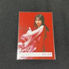 2026年最新】的野美青 生写真 backsの人気アイテム - メルカリ