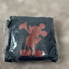 Item thumbnail for item de848476-19c2-4b2e-a25c-ae20e9e677c6