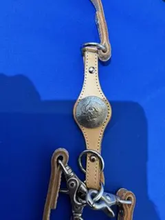 Item thumbnail for item c46a2440-bf57-4f6e-8b5d-6539e9c755eb