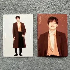 SEVENTEEN トレカ　ウォヌ