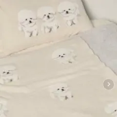 gelato pique ビジョンフリーゼ ブランケット 枕カバー セット