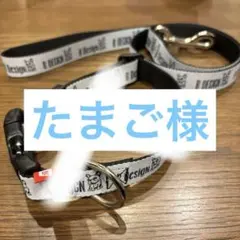 Item thumbnail for item e89a171d-94a2-416d-bc7b-7f3450a841c2