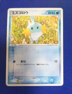 ポケモンカード ミズゴロウ 002/019