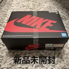 JORDAN １SHADOW AND REVERSE SHADOW KIT
