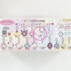 いちご新聞50周年記念 フォトバッジ付きマスコット サンリオ キティ