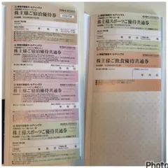 東急不動産ホールディングス 株主優待券冊子　ホテル割引券