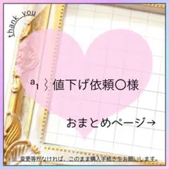 ª₁⌇﻿値下げ依頼〇様 リクエスト 2点 まとめ商品