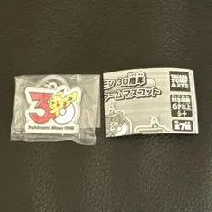 【新品】ポケモン 30周年ピカチュウ メタルチャーム