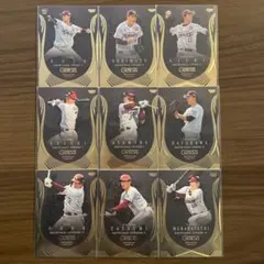 Item thumbnail for item 853390f3-8695-4cdf-af80-db082a7d2b34