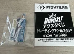 【即購入可】日ハム DOMIれ！アクスタくじ