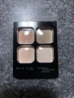 KATE ポッピングシルエットシャドウ PK-1