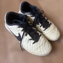 Item thumbnail for item 35f39173-3994-46db-a4b6-fe5f27932f2c