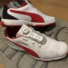 Item thumbnail for item 79e8acfb-f069-49fb-baef-76afee325724