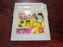 ゲームボーイゲームで発見！たまごっち