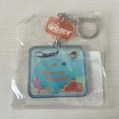 ディズニー　ニモ　アクキー
