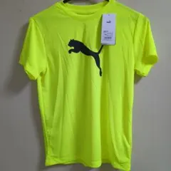 新品★150★PUMA★ド派手！！蛍光イエロー Tシャツ★DRYCELL