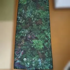 Item thumbnail for item 01c047ed-7bec-4d8e-b2ff-c117db2943b2