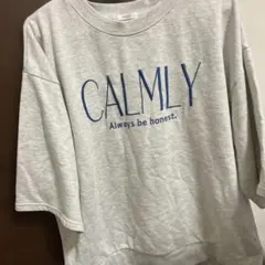 mysa closet ロゴ刺繍 Tシャツ グレー