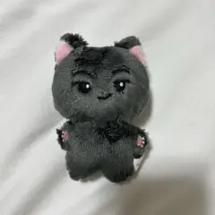 ENHYPEN エンハイプン JAY ジェイ ぬいぐるみ マスター