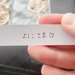 よしこ様専用　ソイネショップ