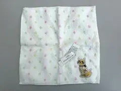 Item thumbnail for item 781b04c5-e6cc-49a2-b8e5-19b64cfab9c5