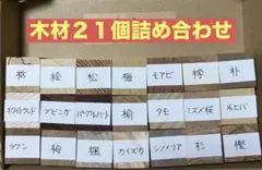 ともペン 木材ブロック 25mm角 21種セット 木工 端材 木材図鑑 大量