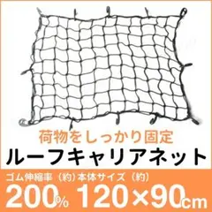 Item thumbnail for item 58162246-a7fc-4985-b6c5-c22f0606c2bb