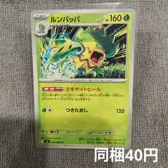 【在庫3】ルンパッパまとめ買いのサムネイル